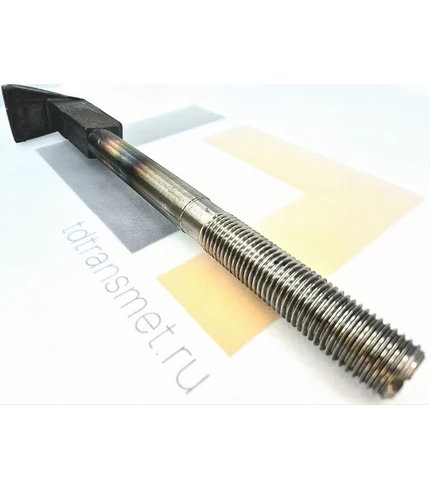 bolt_lapchatyi_m22x300